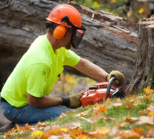 tree services Fargo